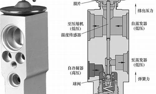 汽车空调膨胀阀漏氟_汽车空调膨胀阀漏氟可以修吗