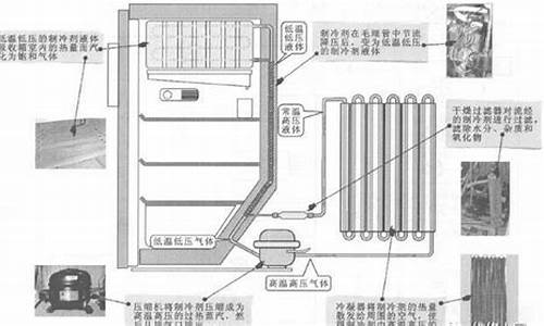 长岭电冰箱的制冷剂是什么型号_长岭冰箱是哪个厂家生产的