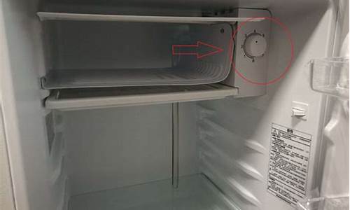 lg冰箱温控器故障_lg冰箱温控器多少钱一个